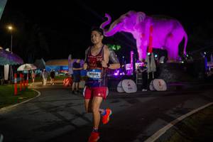 BIB: 
                            <button type="button" onclick="openModal(26552156)" class="btn btn-primary btn-sm float-right btn-popup" data-toggle="modal" data-target=".modal-high-quality">
                        <i class="fas fa-shopping-cart"></i> Add to Cart
                    </button>
                                            <button type="button" onclick="isThisMe(26552156, true)" class="btn btn-success btn-sm float-right btn-popup btn-isme hidden" data-toggle="tooltip" data-placement="bottom" title="นี่คือรูปของคุณใช่ไหม คลิกที่นี่เพื่อเอาเข้าอัลบั้ม">
                        <i class="fas fa-plus"></i> Add to album
                    </button>
                    <button type="button" onclick="isThisMe(26552156, false)" class="btn btn-warning btn-sm float-right btn-popup btn-isnotme hidden">
                        <i class="fas fa-ban"></i> Remove from album
                    </button>